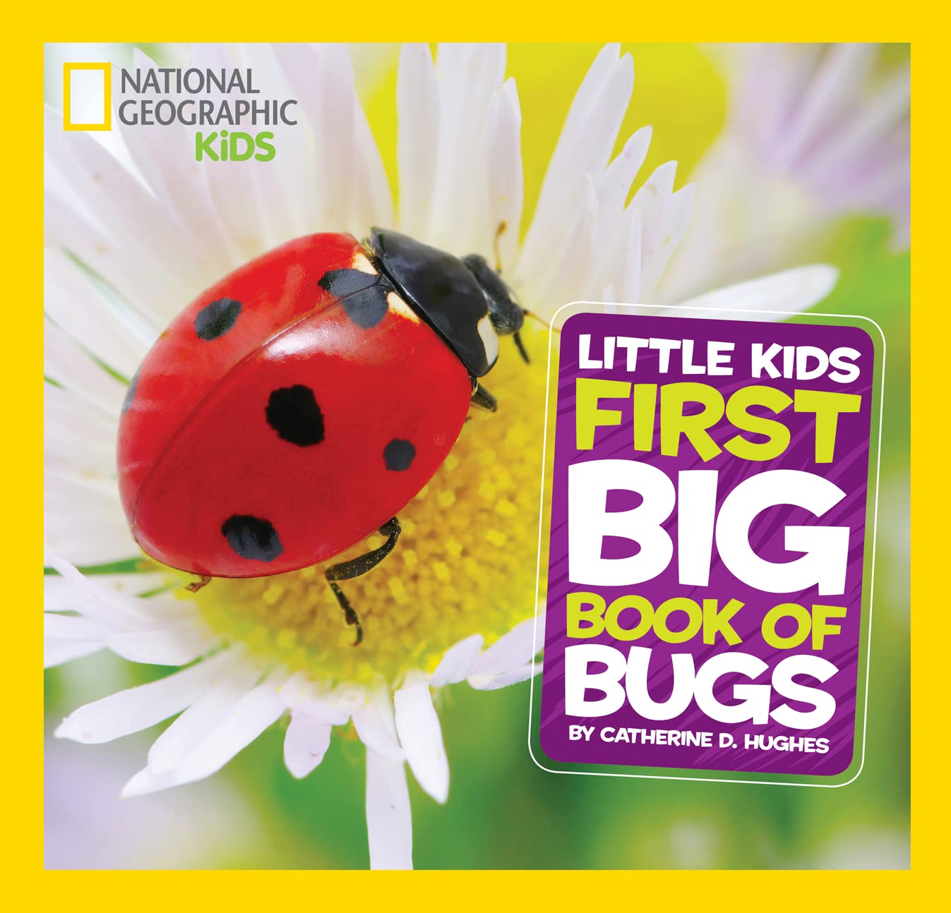 Little Kids First Big Book of Bugs (Hardback)