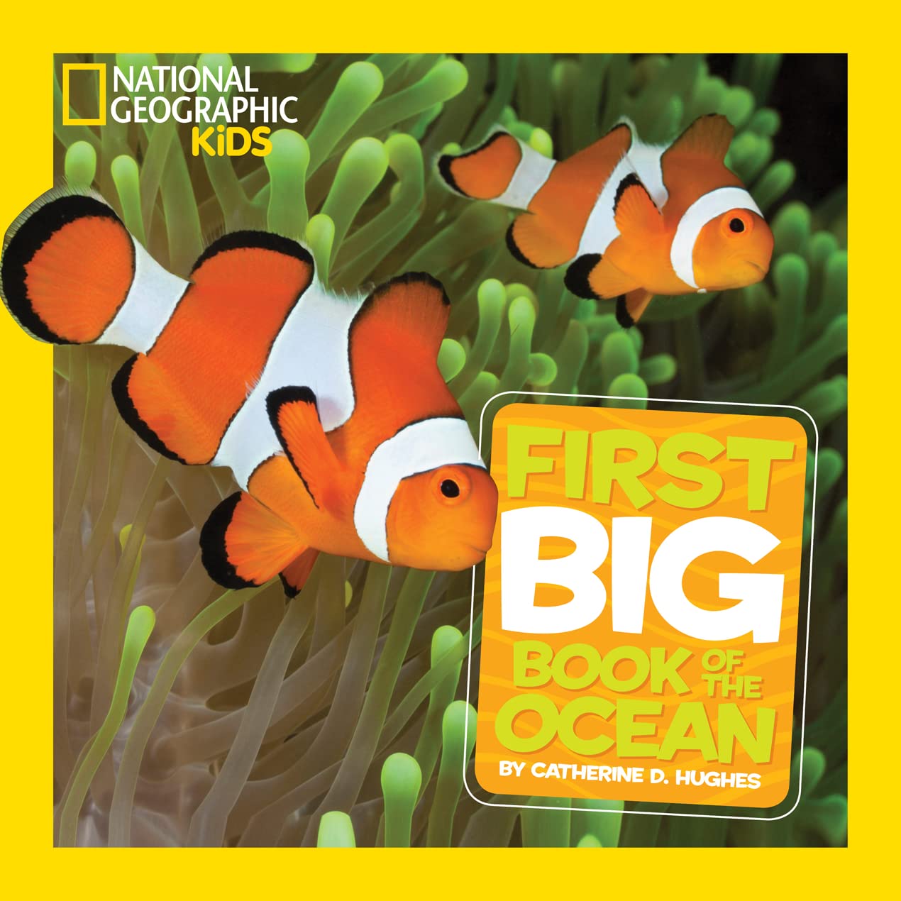 Little Kids First Big Book of Weather (Hardback)