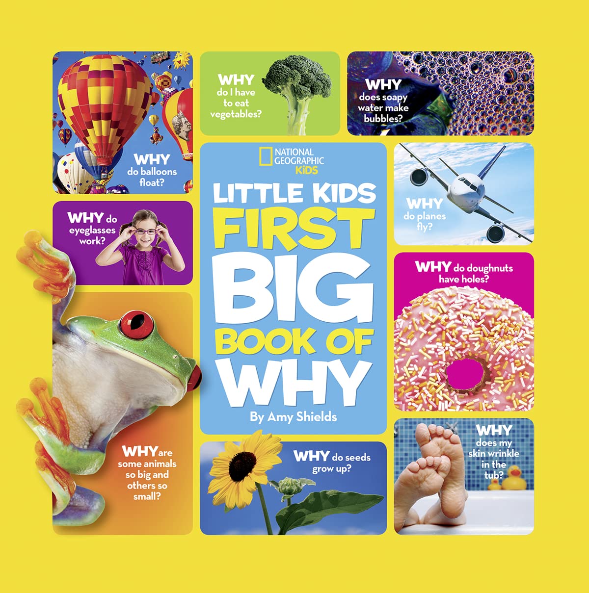 Little Kids First Big Book of Why (Hardback)