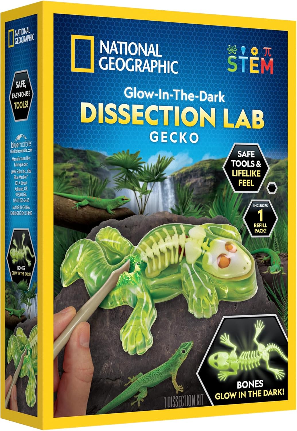 National Geographic Glow In The Dark Gecko Dissection Lab