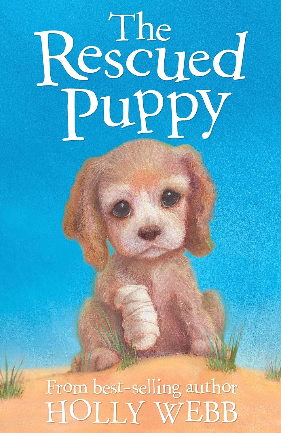 Animal Stories: The Rescued Puppy (Paperback)