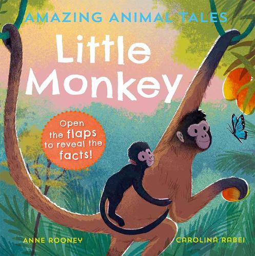 Amazing Animal Tales: Little Monkey (Paperback)