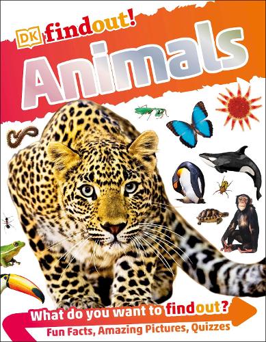 DKfindout! Animals (Paperback)