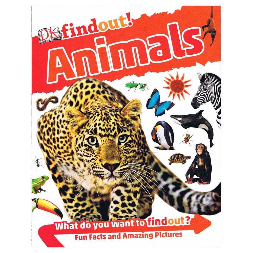 DK Findout Animals (Paperback)