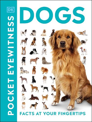 DK Pocket Eyewitness Dogs (Paperback)