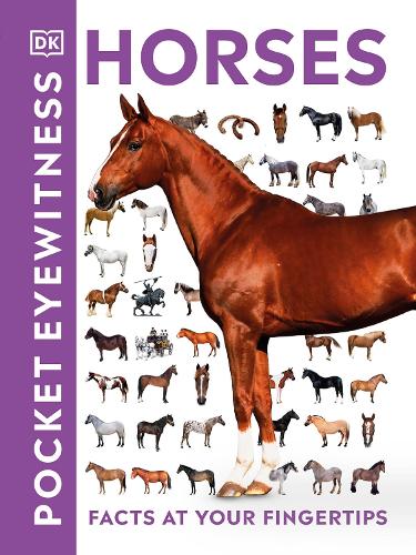 DK Pocket Eyewitness Horses (Paperback)