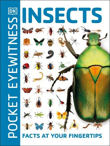 DK Pocket Eyewitness Insects (Paperback)