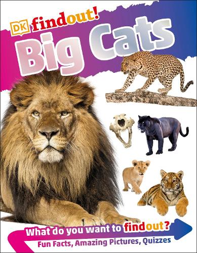 DK Findout! Big Cats (Paperback)