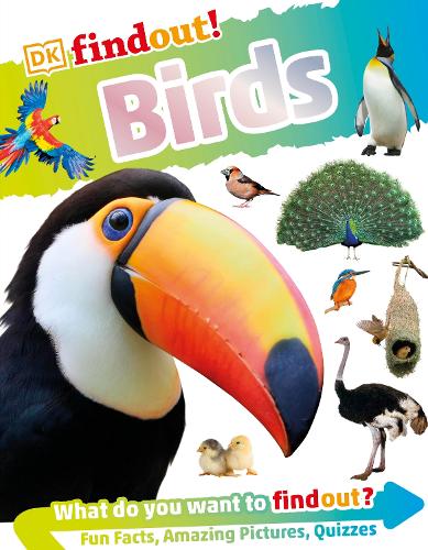 DK Findout! Birds (Paperback)
