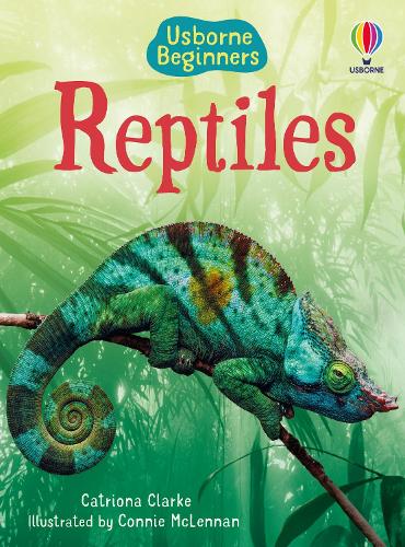 Usborne Beginners: Reptiles (Hardback)