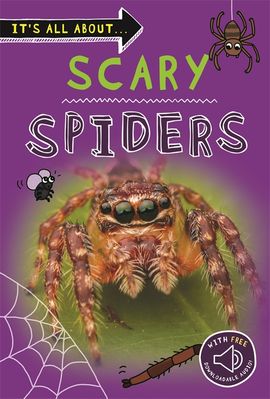 It's All About... Scary Spiders (Paperback)