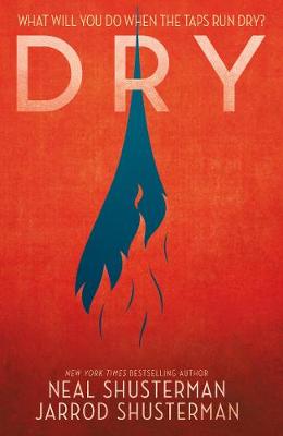 Dry (Paperback)