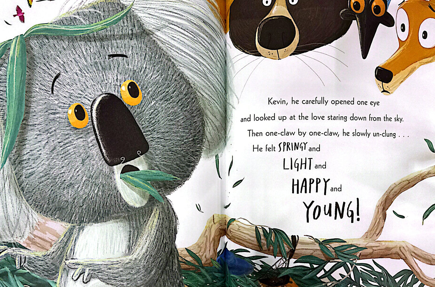 The World Of Rachel Bright & Jim Field: The Koala Who Could (Paperback)