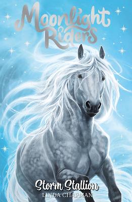 Moonlight Riders: Storm Stallion (Paperback)