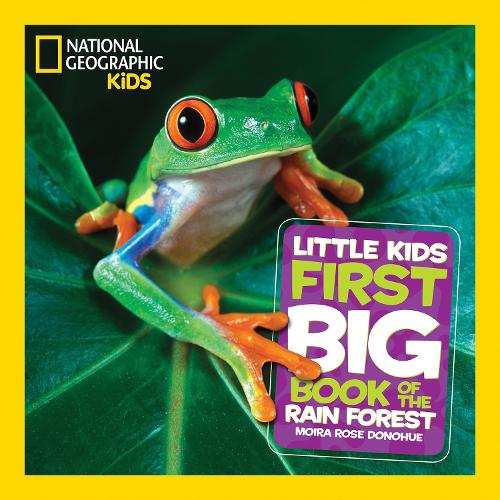 Little Kids First Big Book of The Rainforest (Hardback)