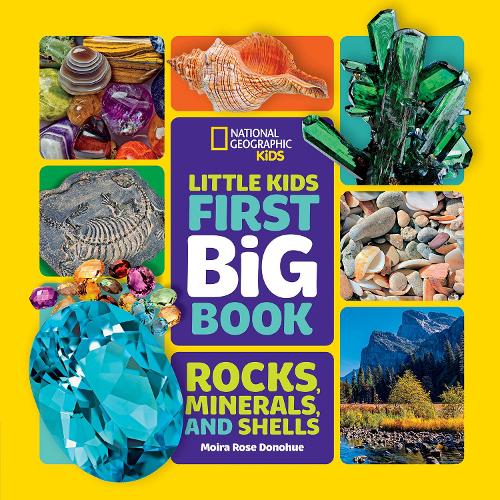 Little Kids First Big Book of Rocks, Minerals and Shells (Hardback)