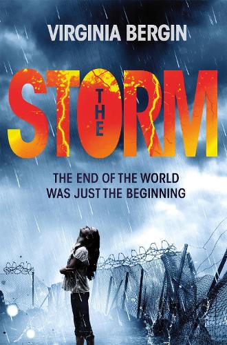 Storm (Paperback)