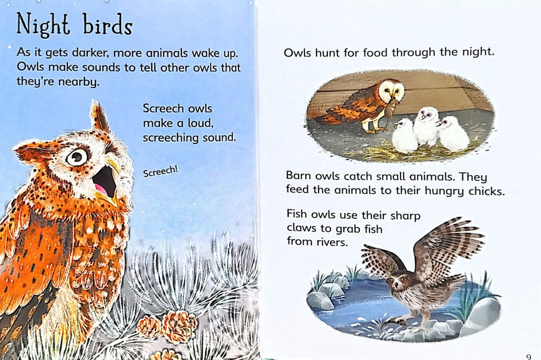 Usborne Beginners: Night and Day (Hardback)