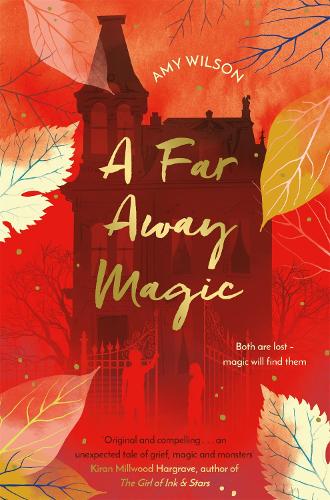 Far Away Magic (Paperback)