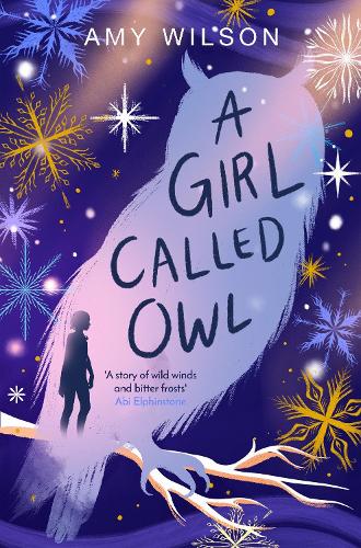 Girl Called Owl (Paperback)