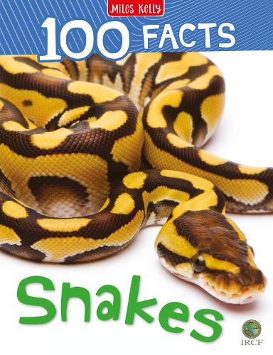 100 Facts Snakes (Paperback)