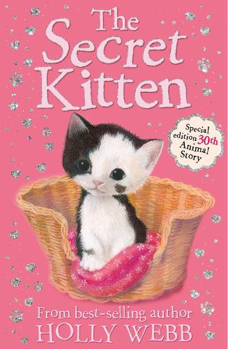 Animal Stories: Secret Kitten (Paperback)