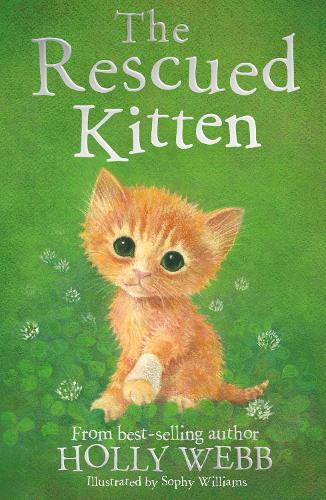 Animal Stories: The Rescued Kitten (Paperback)