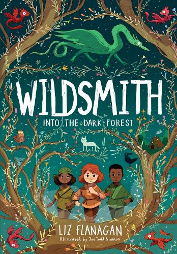 The Wildsmith 1: Into The Dark Forest (Paperback)