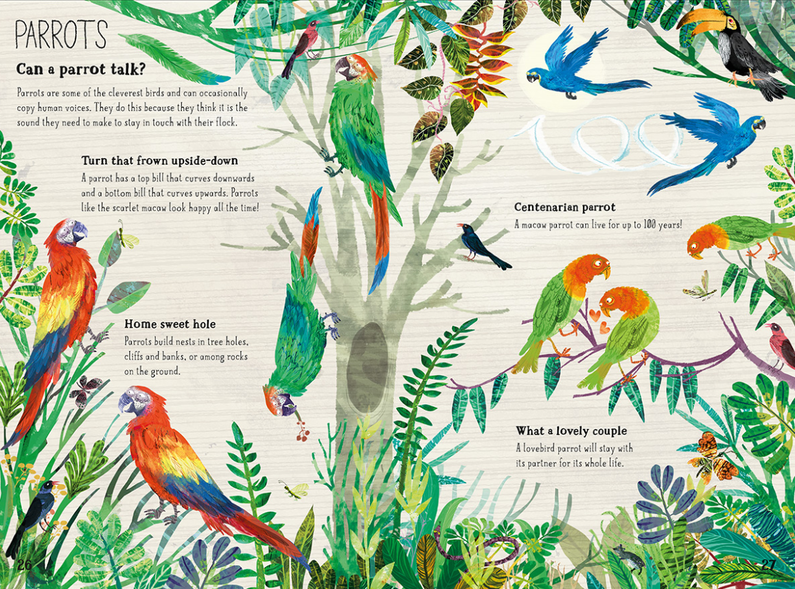The Big Book Of Birds (Hardback)
