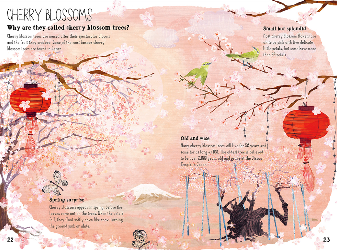 The Big Book Of Blooms (Hardback)