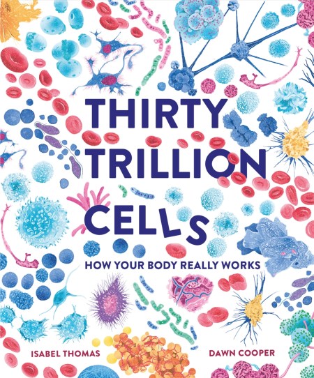 Thirty Trillion Cells: How Your Body Really Works (Hardback)