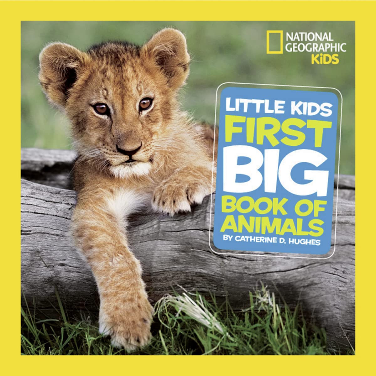 Little Kids First Big Book of Animals (Hardback)