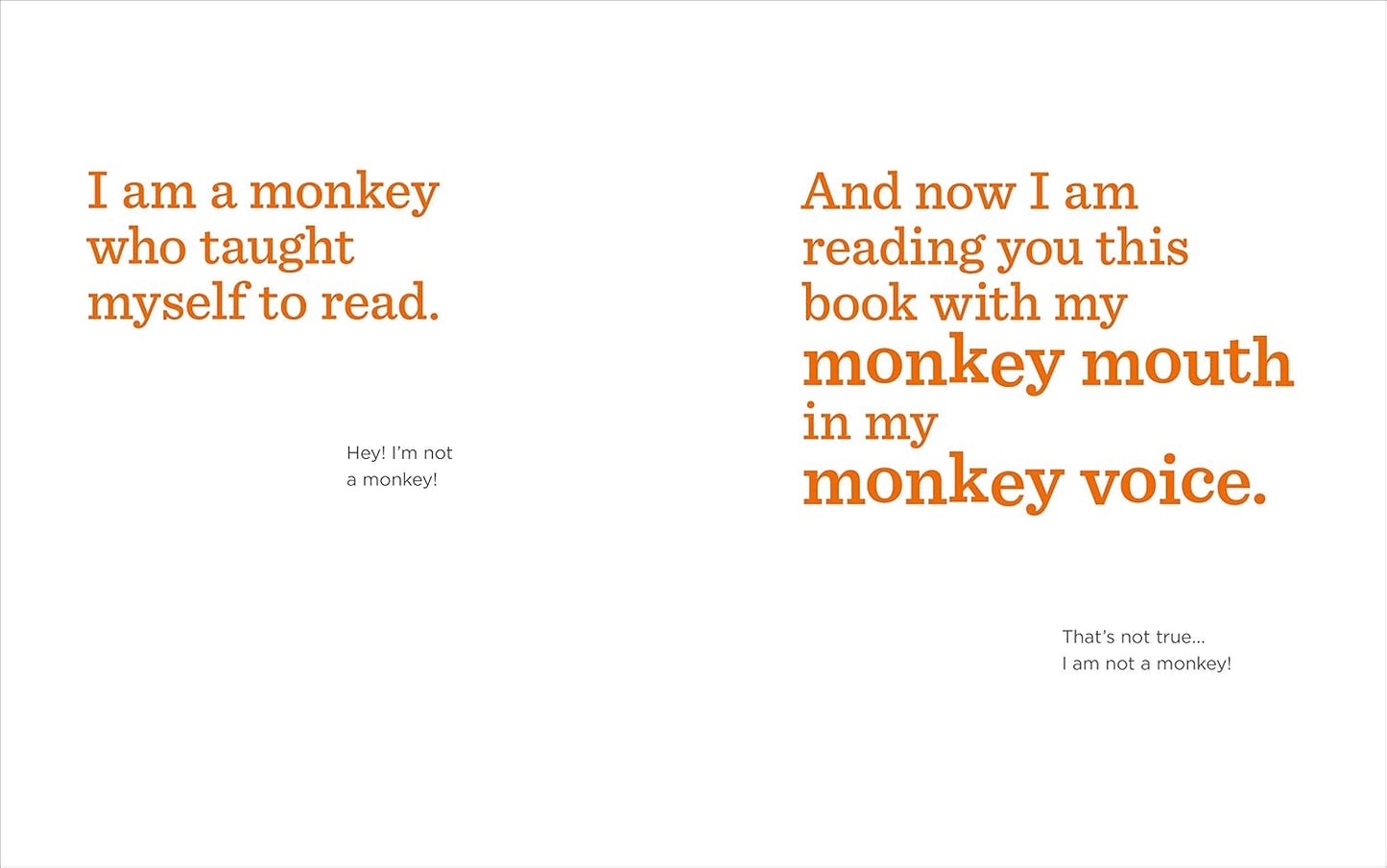 The Book with No Pictures (Paperback)