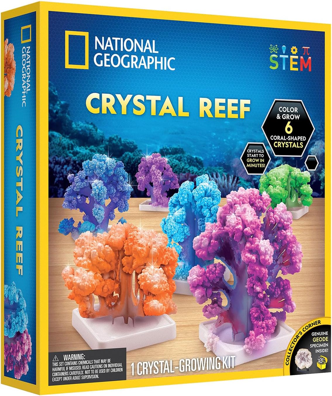National Geographic Crystal Reef Coral Growing National Geographic Lab
