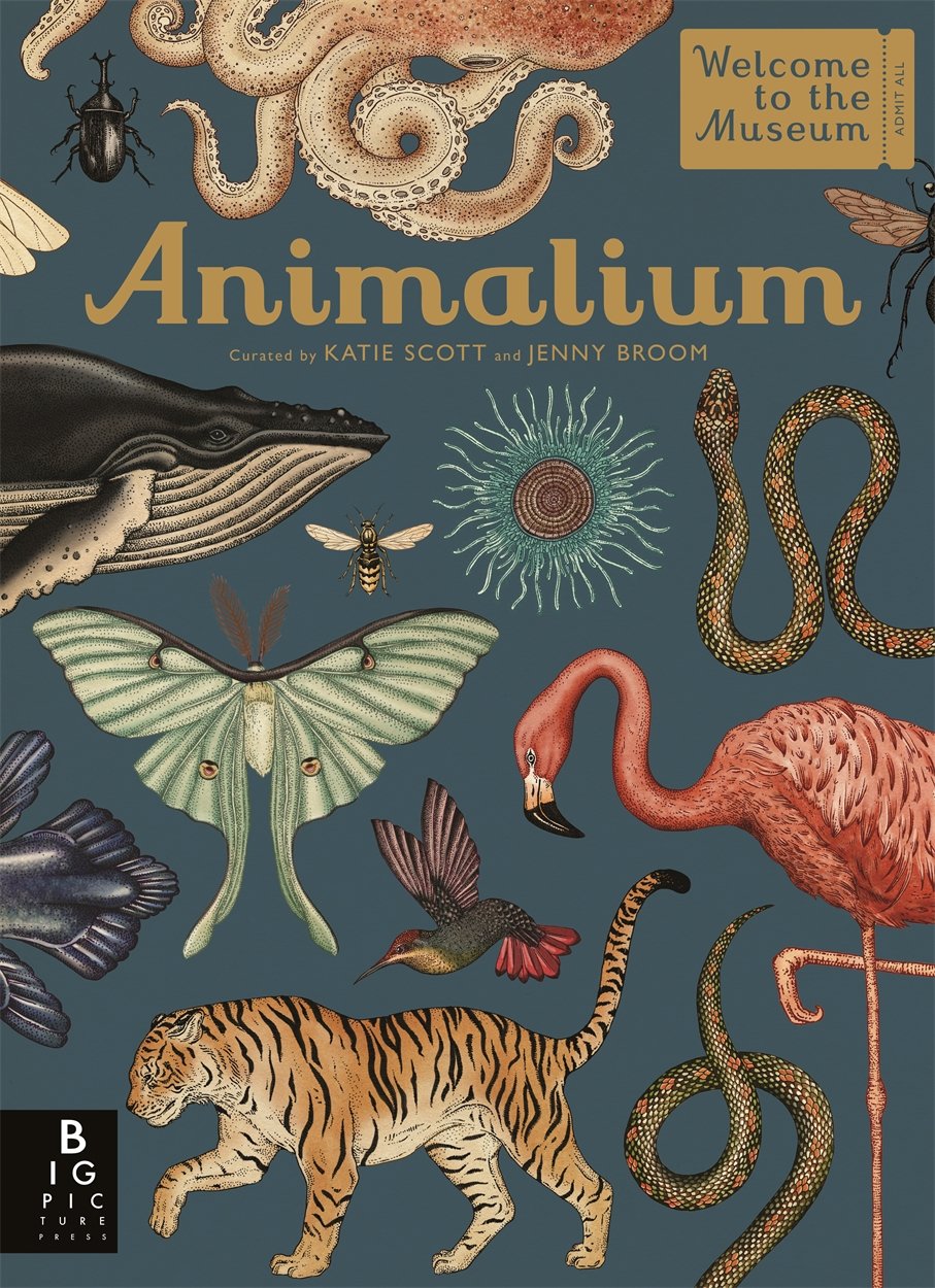 Animalium (Hardback)