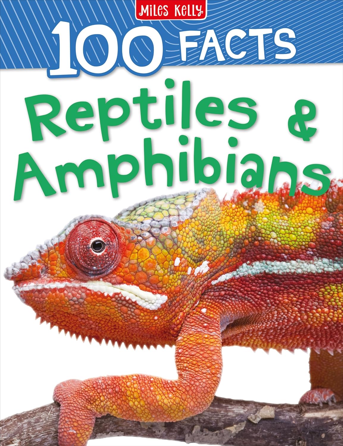 100 Facts Reptiles & Amphibians (Paperback)
