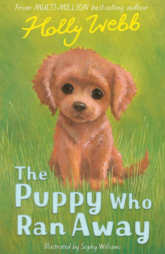 Animal Stories: The Puppy Who Ran Away (Paperback)