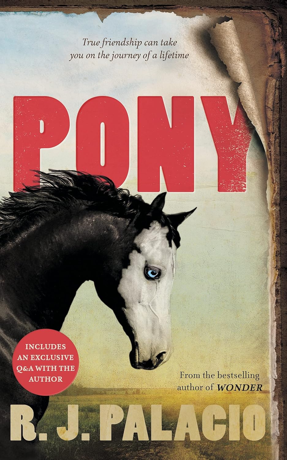 Pony (Paperback)
