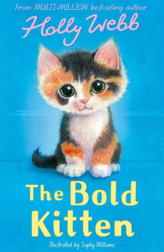 Animal Stories: The Bold Kitten (Paperback)