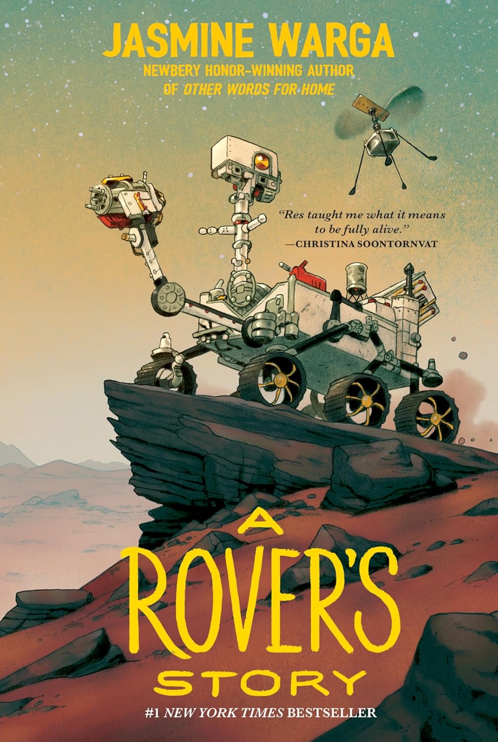 A Rover's Story (Paperback)