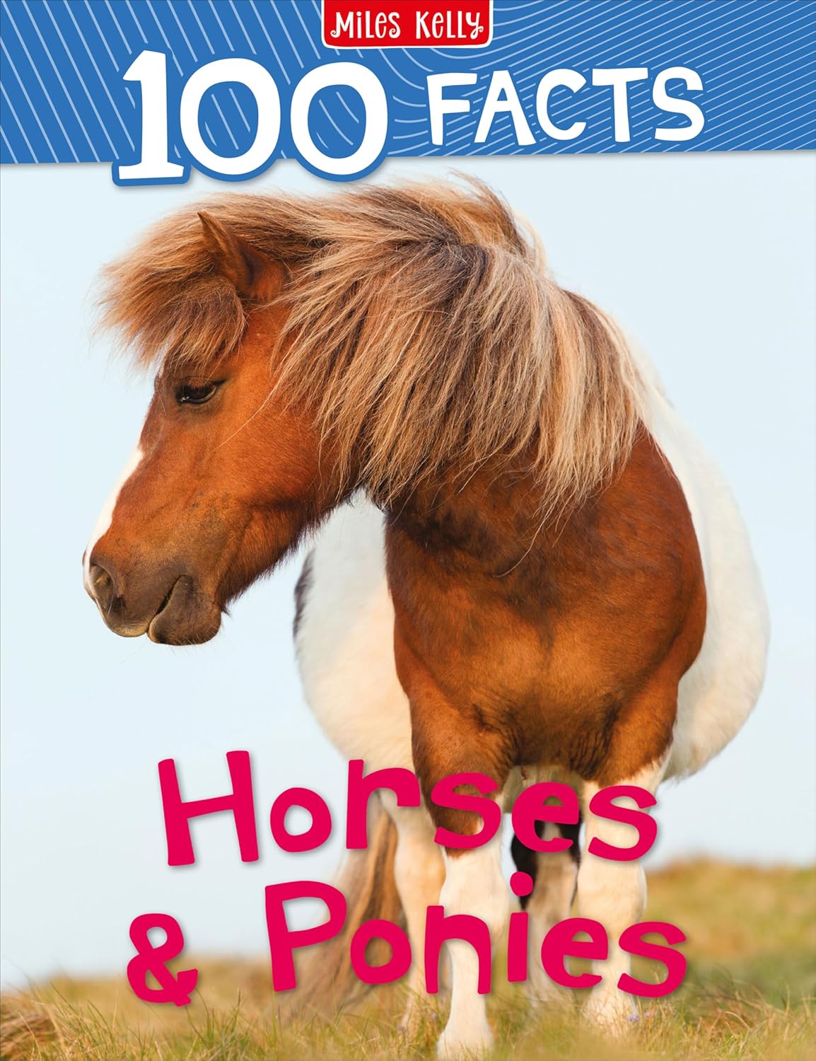 100 Facts Horses and Ponies (Paperback)