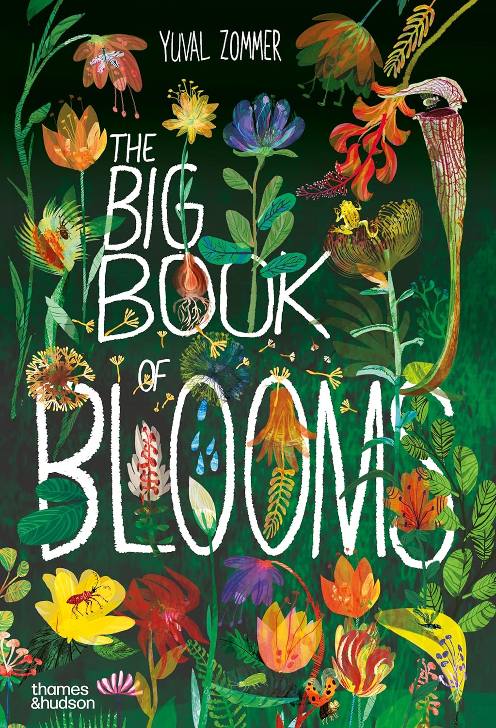 The Big Book Of Blooms (Hardback)