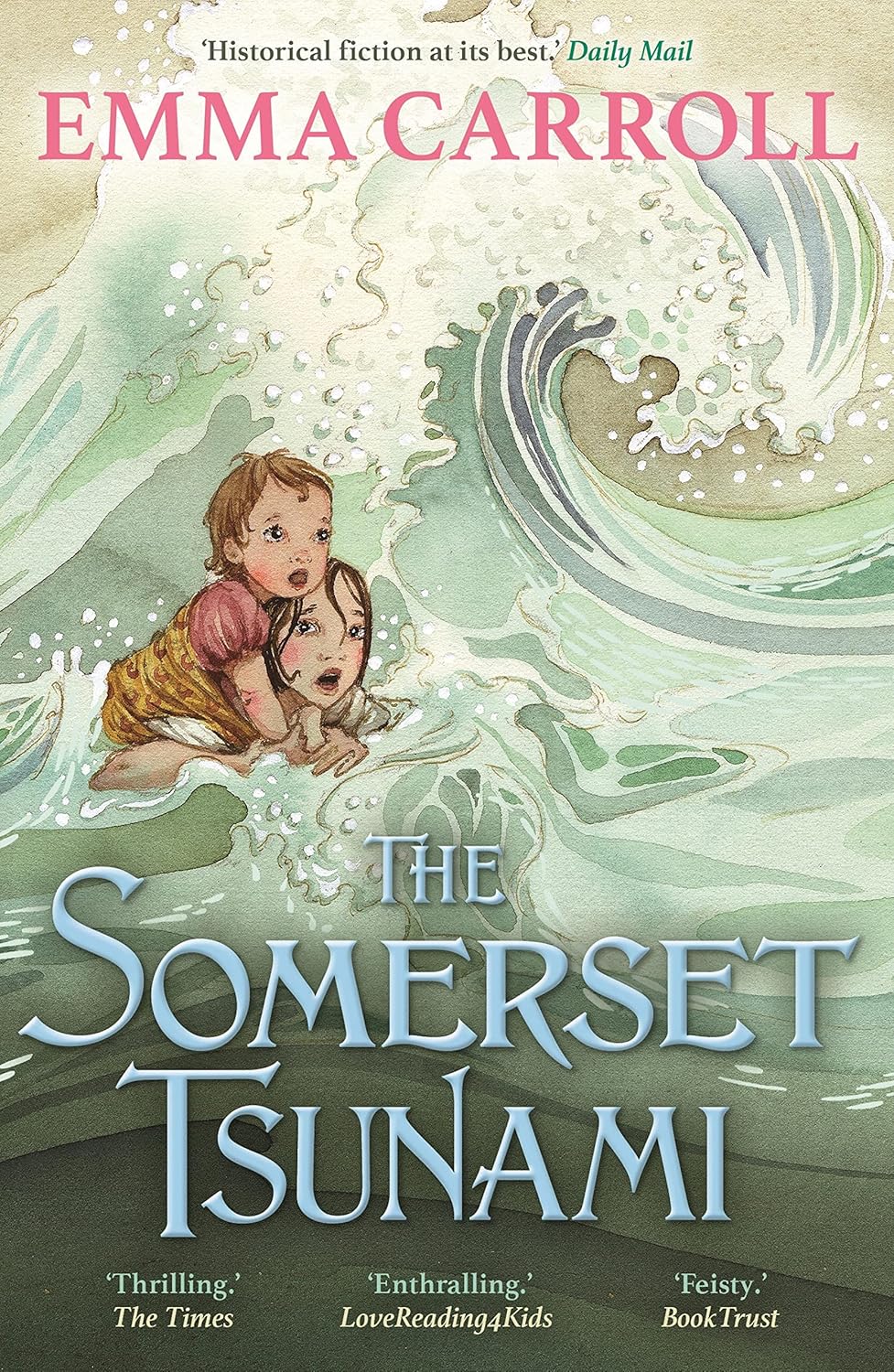 The Somerset Tsunami (Paperback)