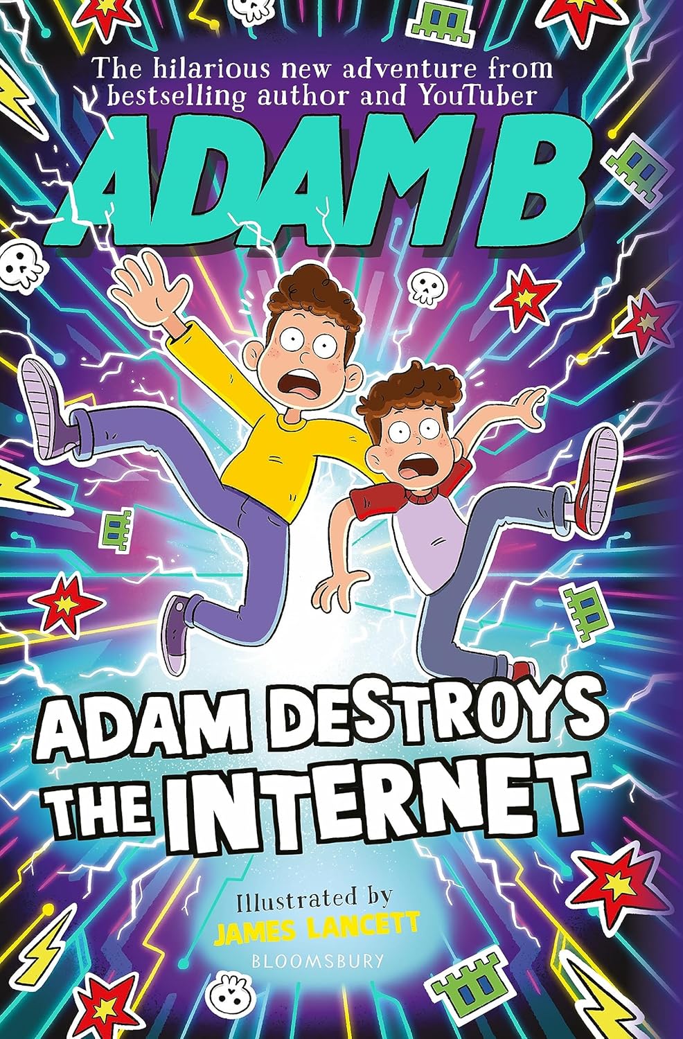 Adam Destroys the Internet (Paperback)