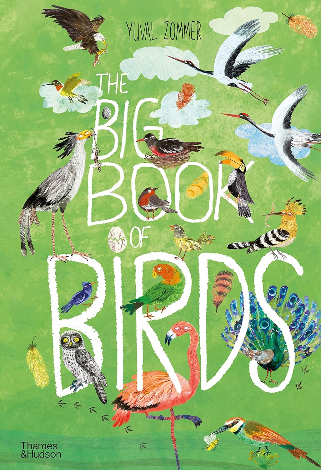 The Big Book Of Birds (Hardback)