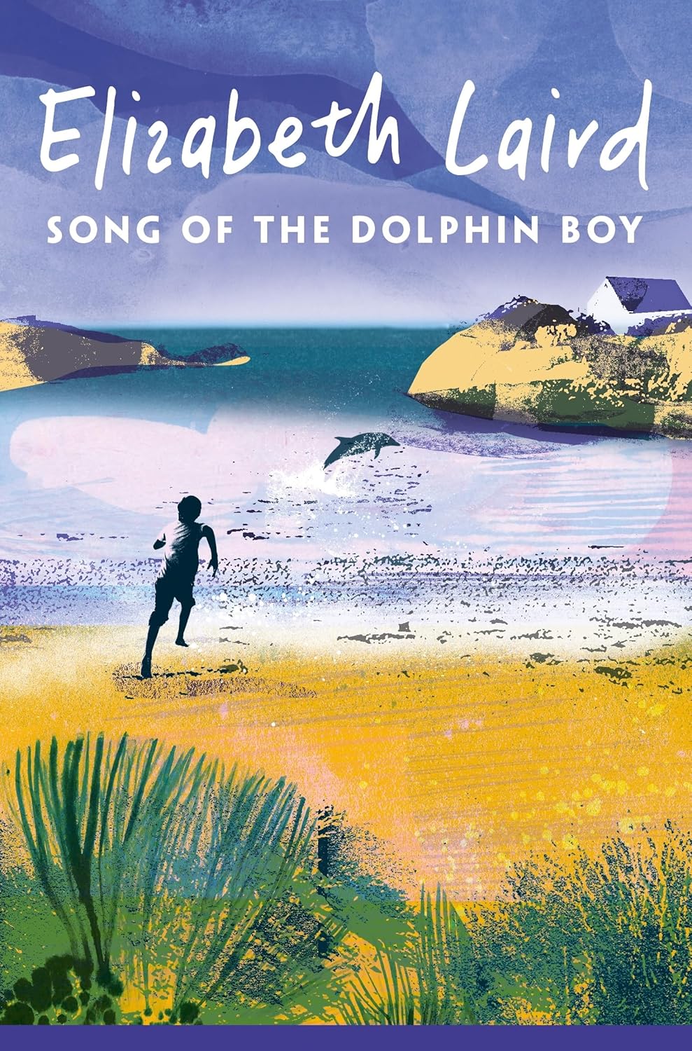 Song of the Dolphin Boy (Paperback)