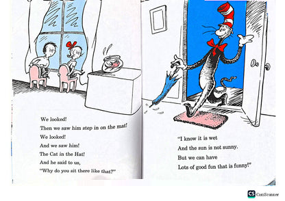 Dr. Seuss The Cat in the Hat (Paperback)