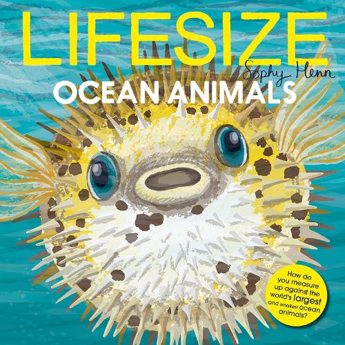 Lifesize Ocean Animals (Paperback)