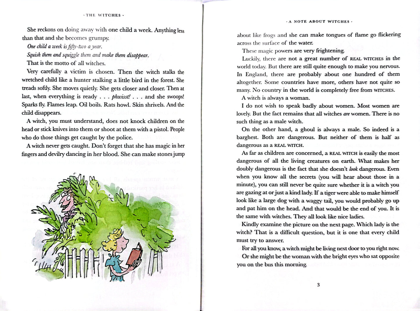 Roald Dahl: Colour Edition: The Witches (Paperback)