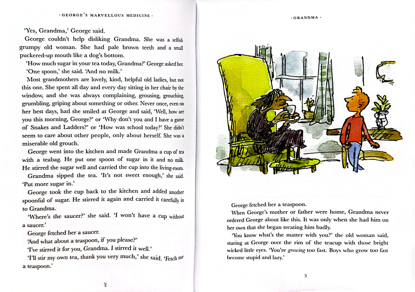 Roald Dahl: George's Marvellous Medicine (Colour Edn) (Paperback)